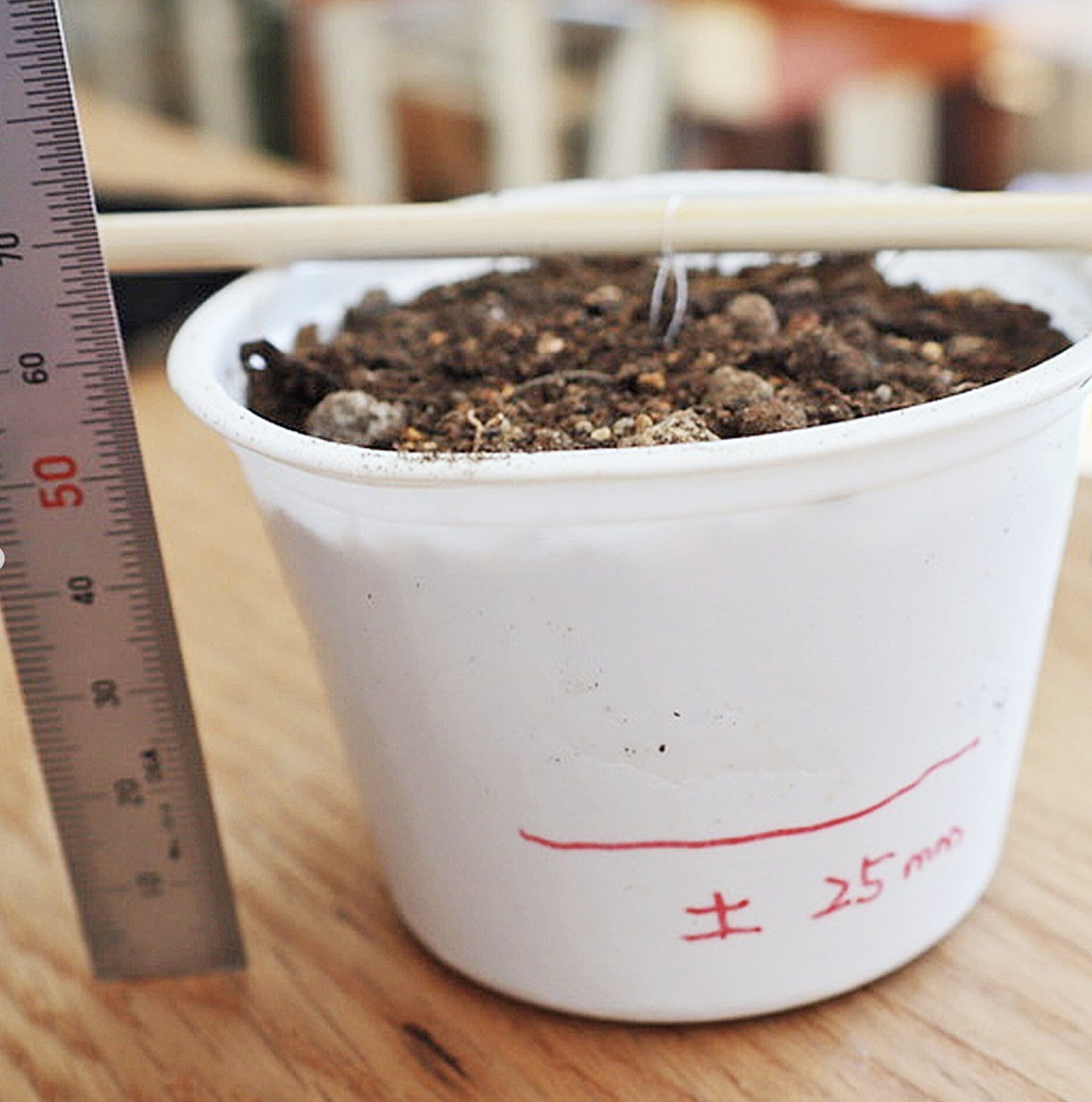 レーヨン糸はほんとうに土に還るのか― 刺繍屋の小さな実験 ―